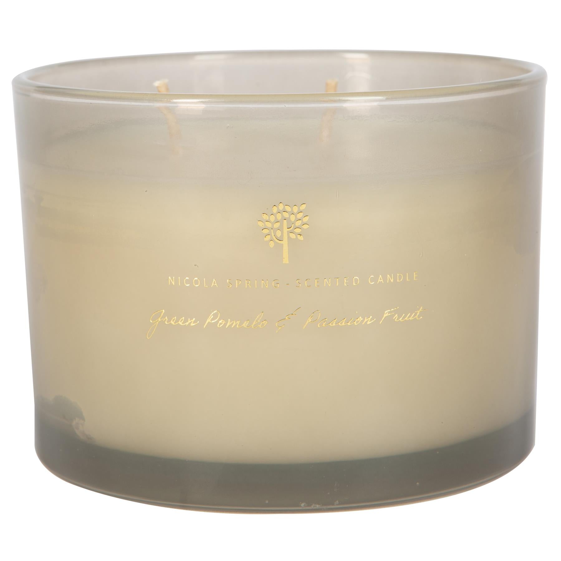 350g Double Wick Green Pomelo & Passion Fruit Soy Scented Wax Candle