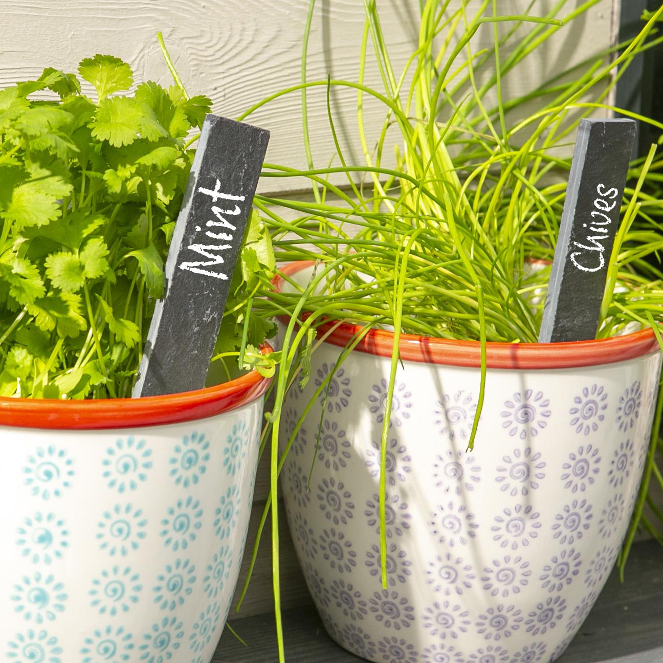 Slate Plant Marker - 2cm x 15.5cm