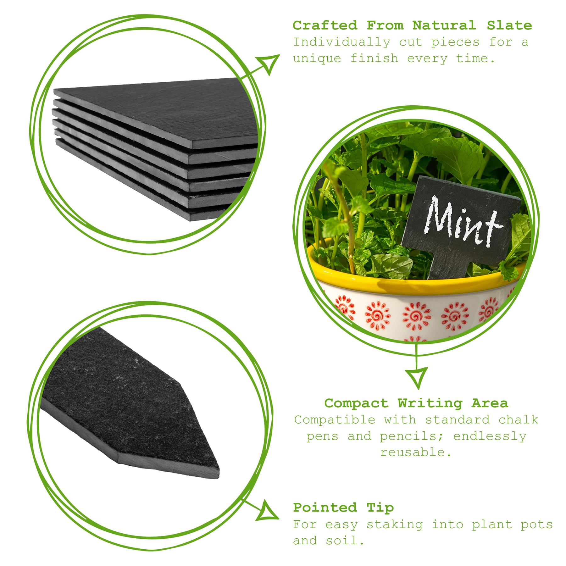 Slate Plant Marker - 6cm x 12cm
