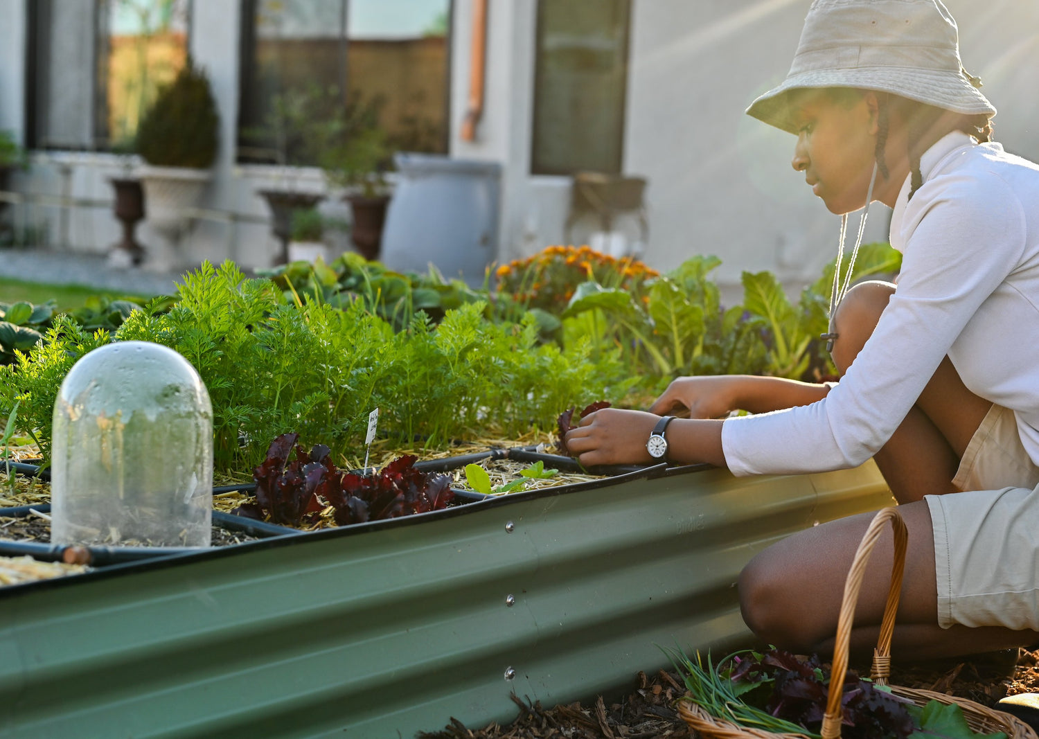 Gardening