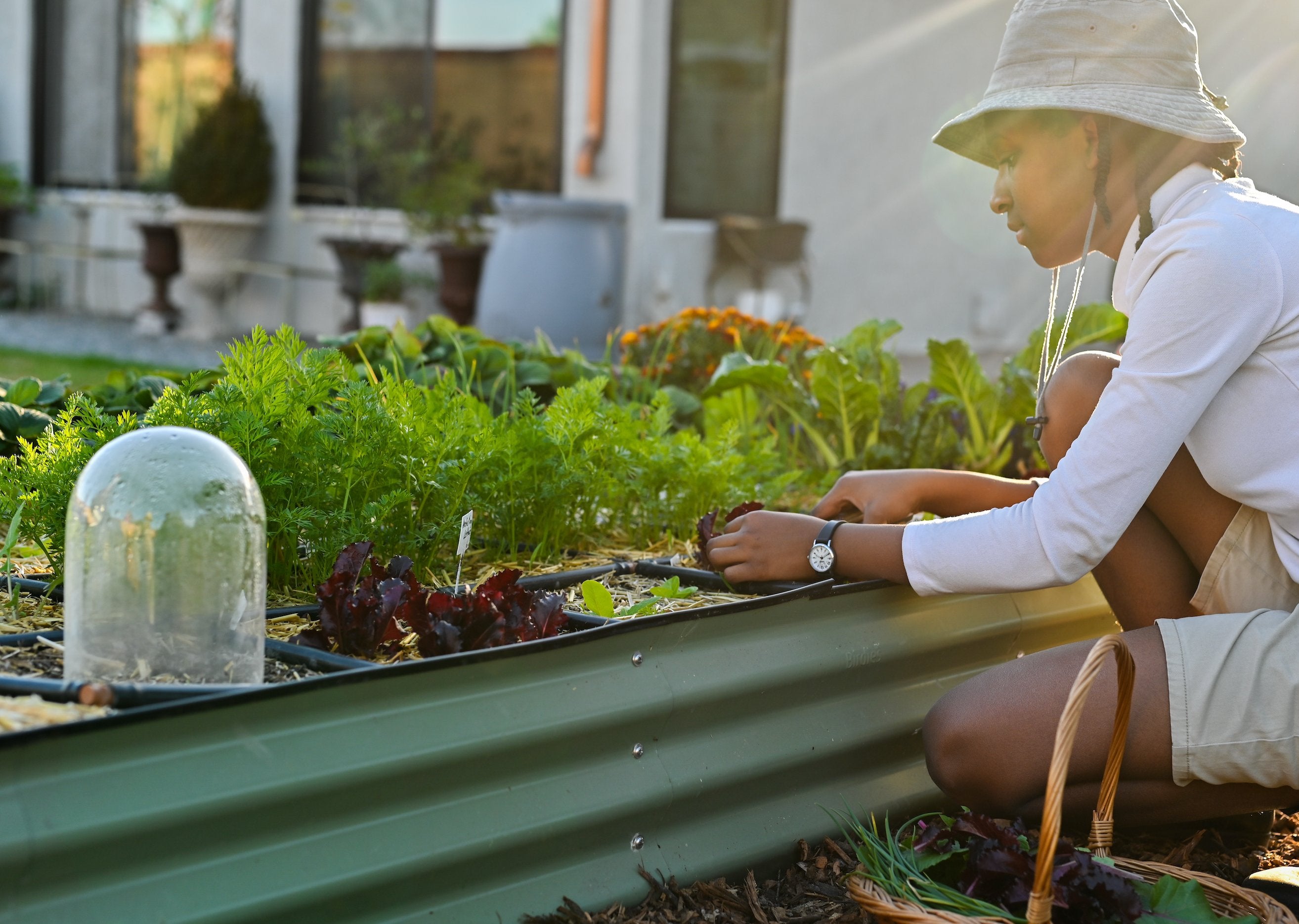 Gardening