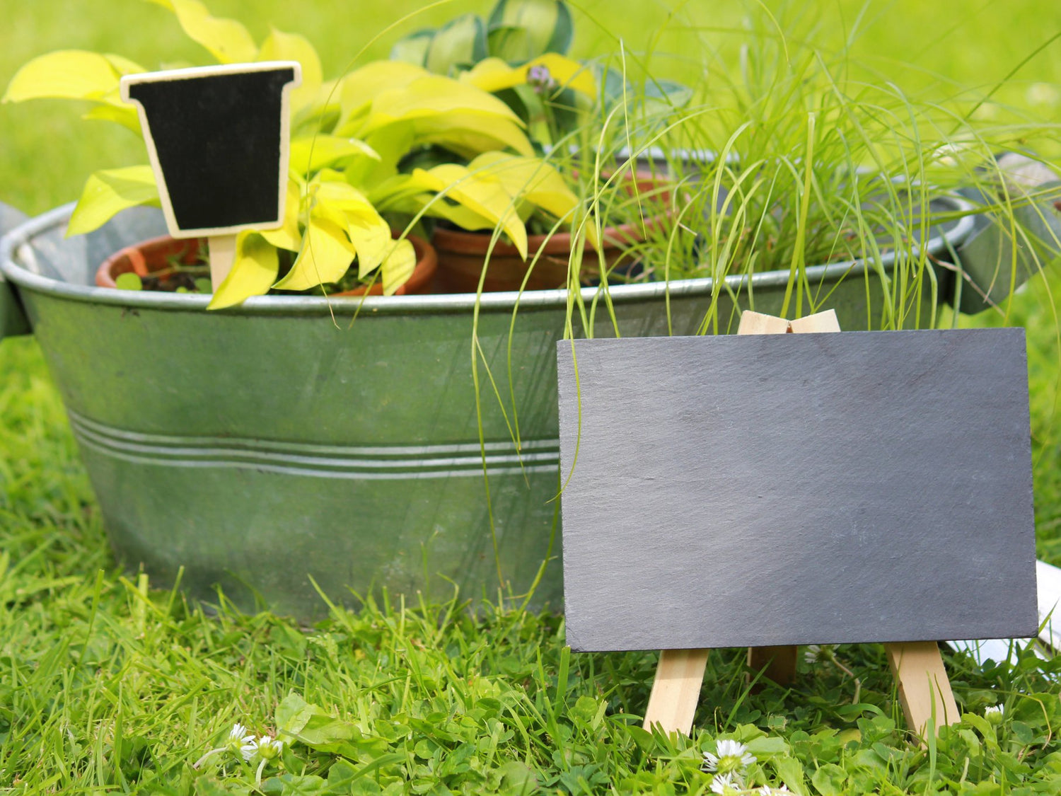 Slate Tags