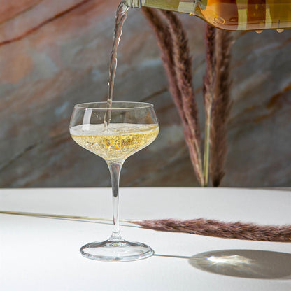 Bartender Champagne Saucer - 305ml