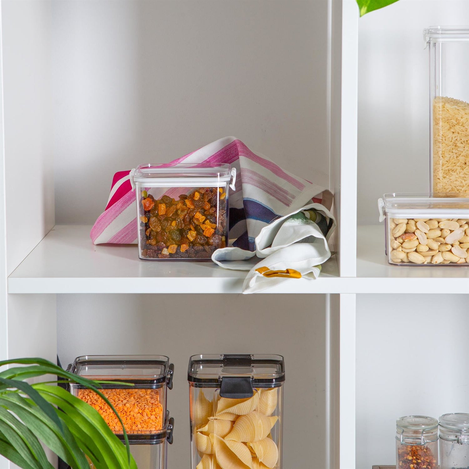 Food Storage Container - 700ml - White