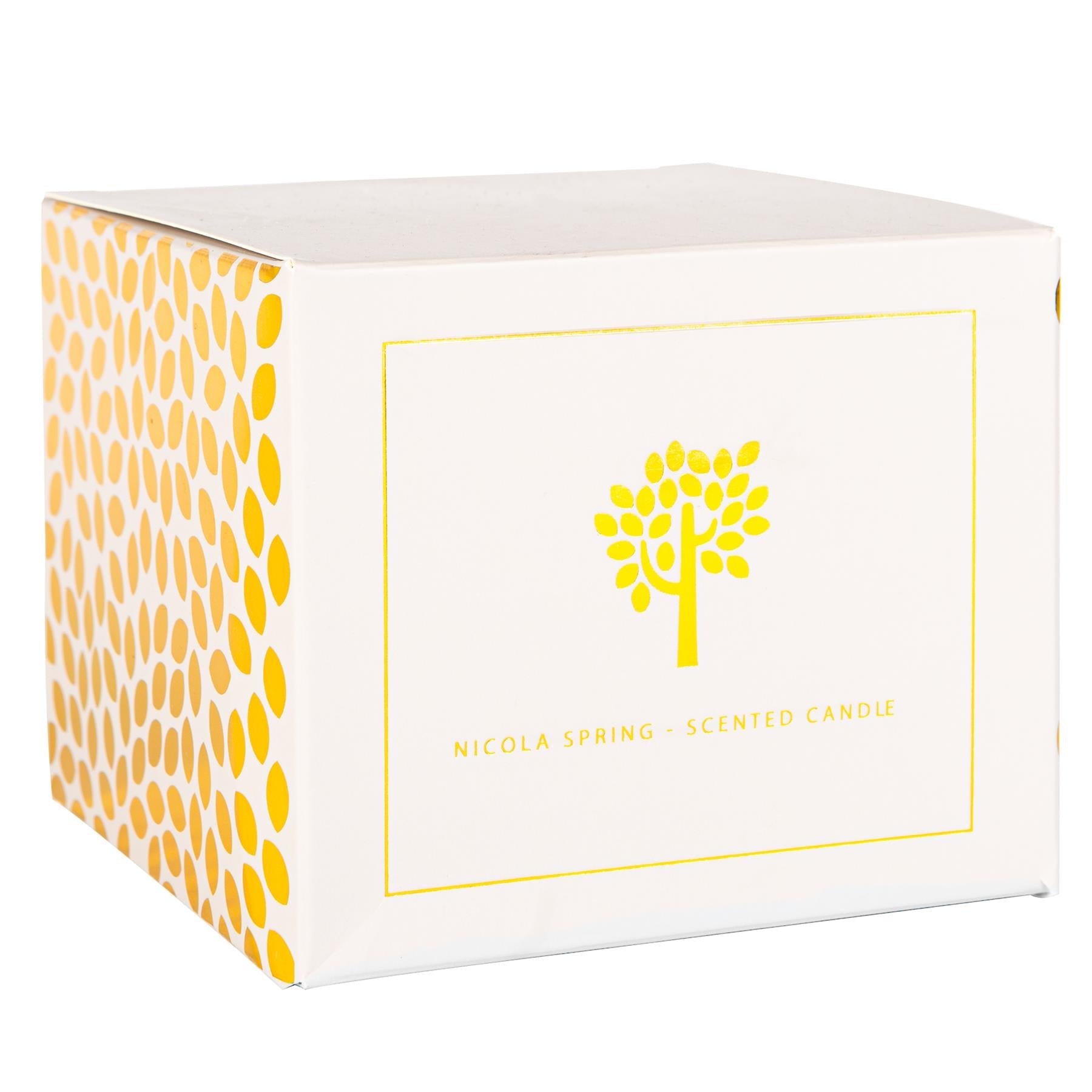 300g Cinnamon Orange Soy Wax Scented Candle