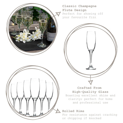 220ml Venue Glass Champagne Flute