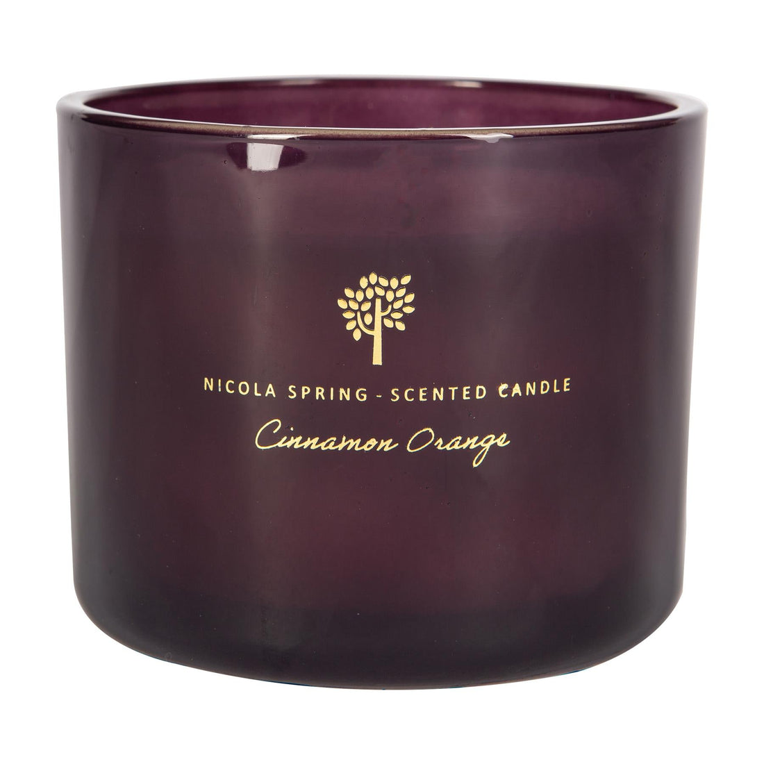 300g Cinnamon Orange Soy Wax Scented Candle