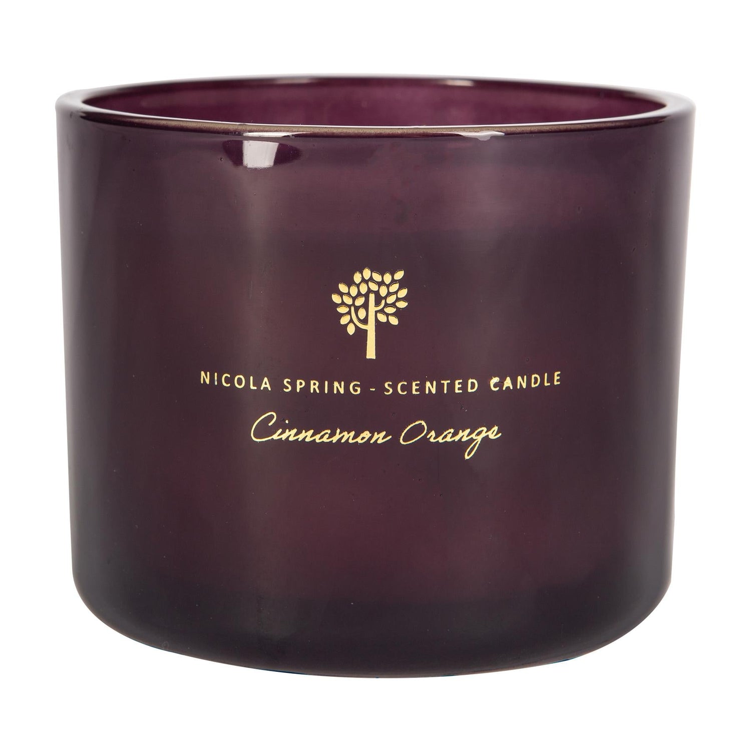 300g Cinnamon Orange Soy Wax Scented Candle