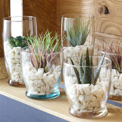 highball glass