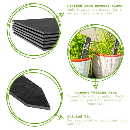 Slate Plant Marker - 2cm x 15.5cm