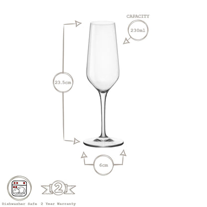 230ml Electra Glass Champagne Flute
