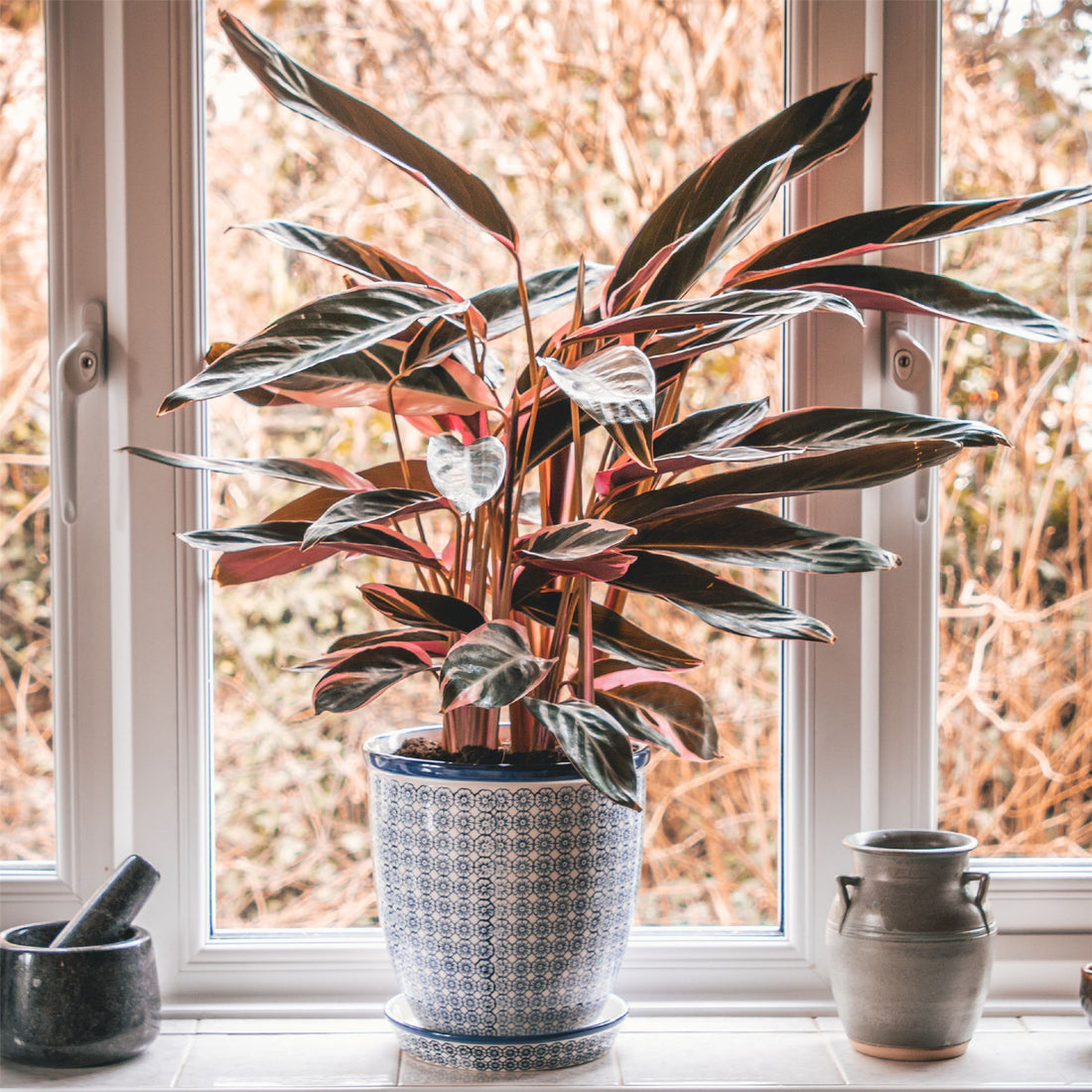 Hand-Printed Plant Pot - 20cm - Navy