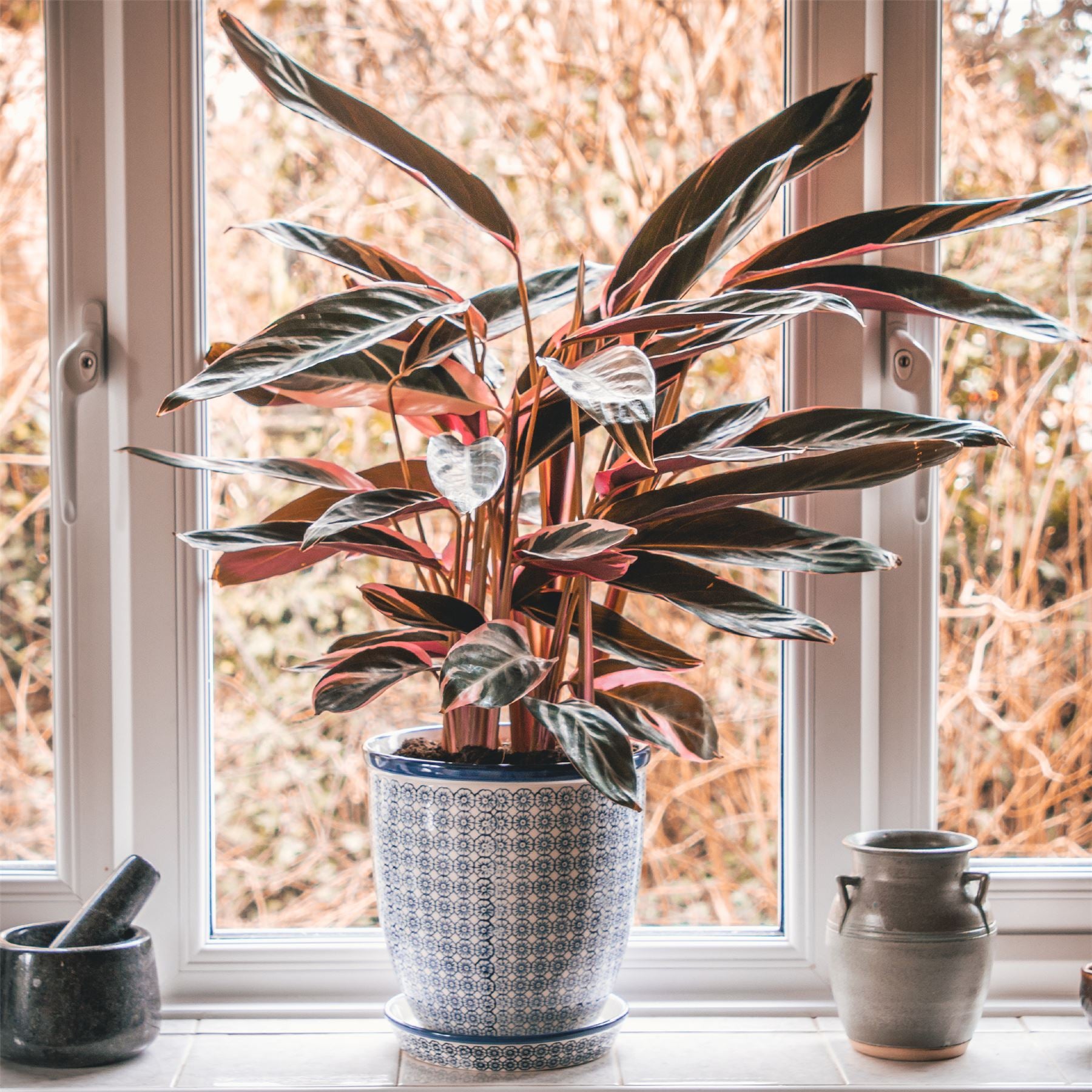 Hand-Printed Plant Pot - 20cm - Navy