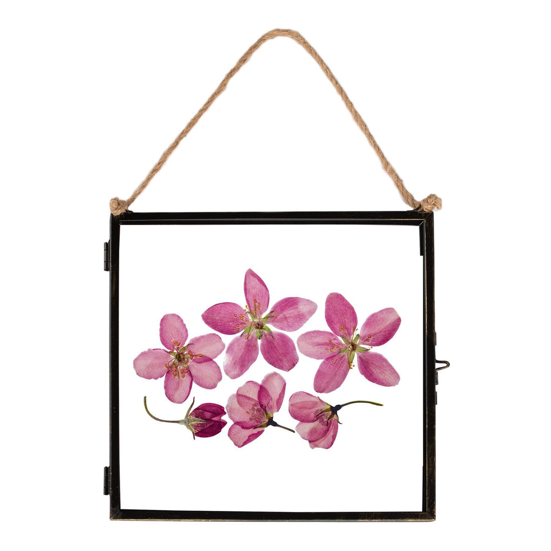 8&quot; x 8&quot; Glass Hanging Photo Frame - By Nicola Spring