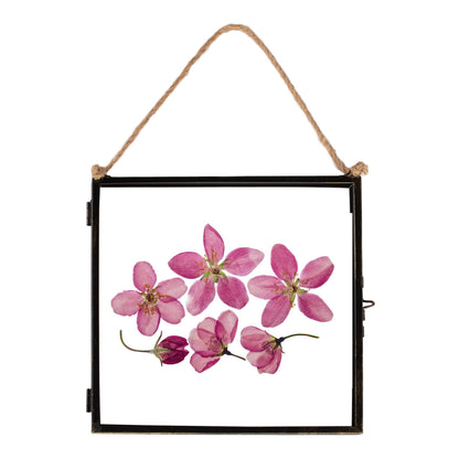 8&quot; x 8&quot; Glass Hanging Photo Frame - By Nicola Spring
