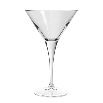 Bormioli Rocco Ypsilon Martini Glass - 245ml