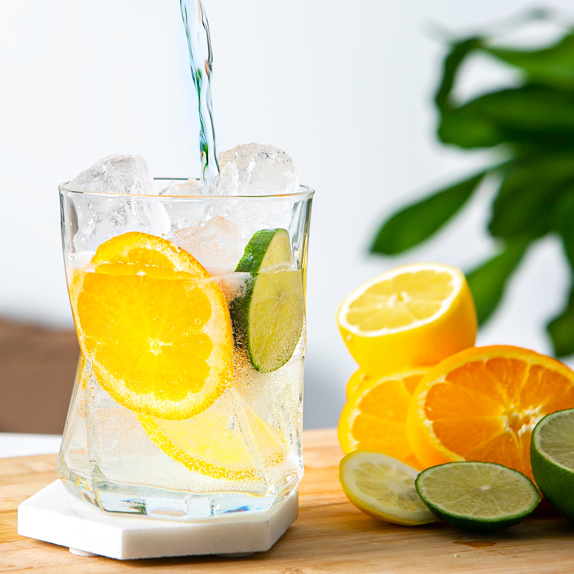 Cassiopea Water Glass - 410ml