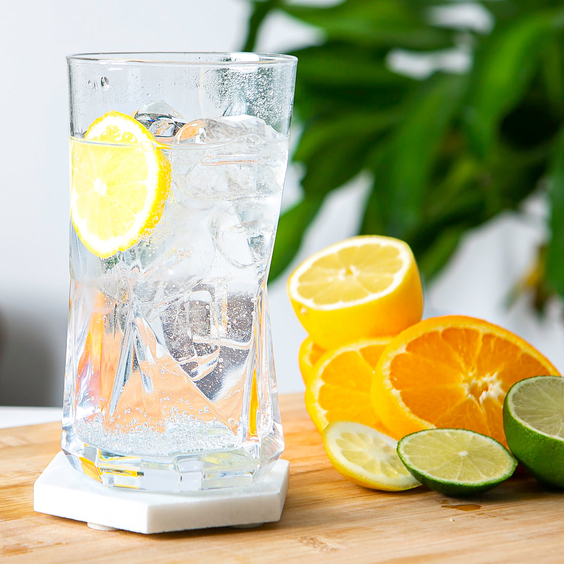 Cassiopea Highball Glass - 480ml