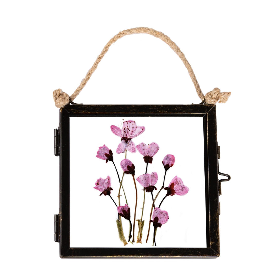 4&quot; x 4&quot; Glass Hanging Photo Frame - By Nicola Spring