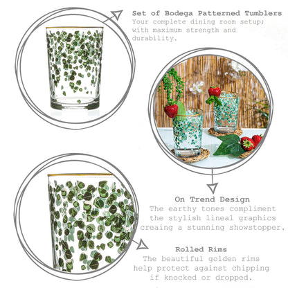 Bodega Decorated Highball Glass - 520ml - Green